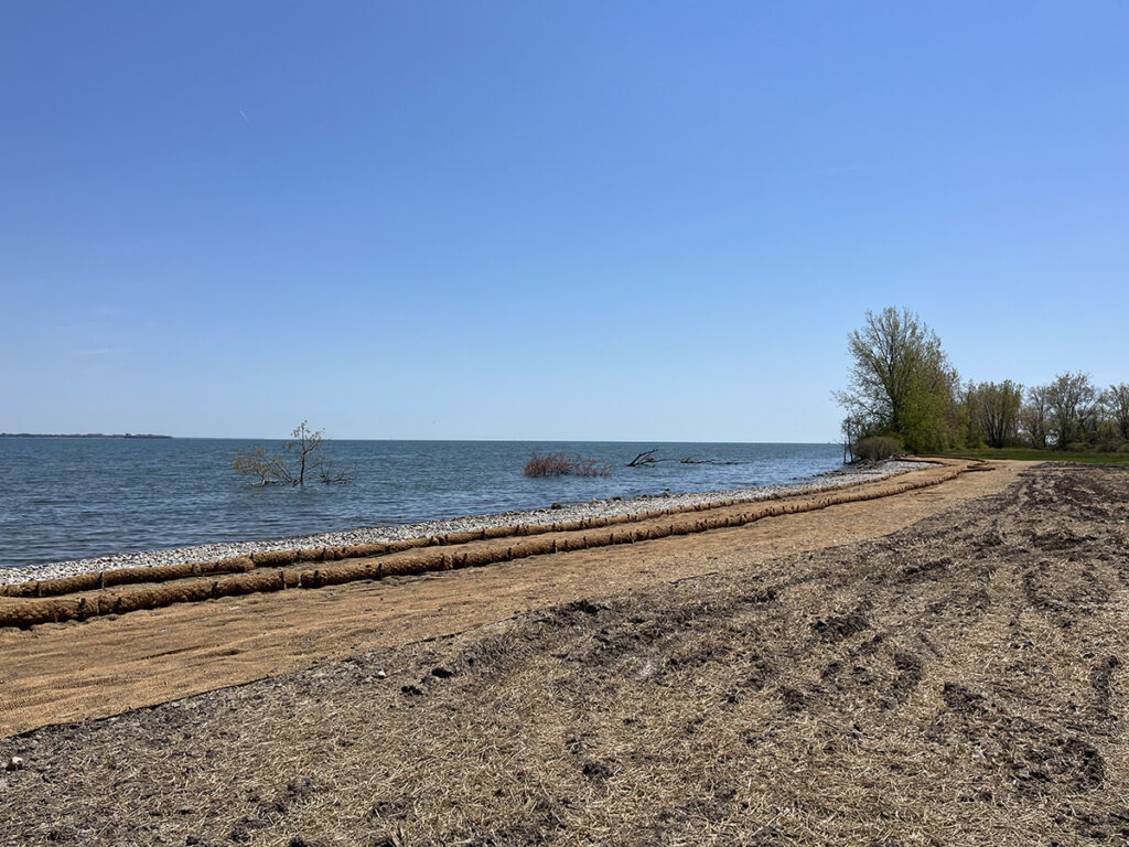 Shoreline Restoration